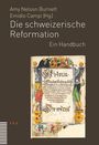 Die schweizerische Reformation, Buch