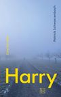 "Harry", "Eine Novelle", "Patrick Schwarzenbach", "P Verlag Lago". Eine Person geht alleine eine neblige Straße entlang.