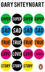 Gary Shteyngart: Super Sad True Love Story, Buch
