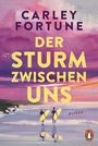 Carley Fortune: Der Sturm zwischen uns, Buch