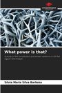 Sílvia Maria Silva Barbosa: What power is that?, Buch