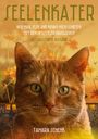 Tamara Schenk: Seelenkater, Buch