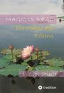 Evelyn Stierle: Magic is real, Buch