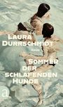 Text: "Laura Dürrschmidt, Roman, Sommer der schlafenden Hunde." Illustration von zwei Frauen im Wasser. Unten links ein Logo "a aufbau".