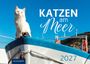 Eva Maria Buchholz: Katzen am Meer 2027, KAL