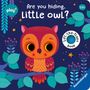 Klara Tünner: Play+ Are you hiding, little owl?, Buch