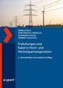 Markus Palic: Freileitungen und Kabel in Hoch- und Höchstspannungsnetzen, Buch