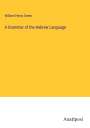 William Henry Green: A Grammar of the Hebrew Language, Buch