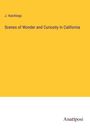 J. Hutchings: Scenes of Wonder and Curiosity in California, Buch