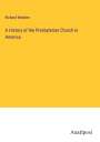 Richard Webster: A History of the Presbyterian Church in America, Buch