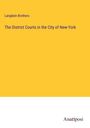 Langbein Brothers: The District Courts in the City of New-York, Buch
