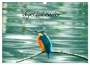 Fofino Fofino: Vogelkalender (Wandkalender 2024 DIN A3 quer), CALVENDO Monatskalender, KAL