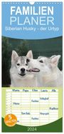 Michael Ebardt: Familienplaner 2024 - Siberian Husky - der Urtyp mit 5 Spalten (Wandkalender, 21 x 45 cm) CALVENDO, KAL