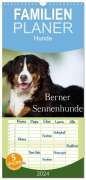 Nicole Noack: Familienplaner 2024 - Berner Sennenhunde mit 5 Spalten (Wandkalender, 21 x 45 cm) CALVENDO, KAL