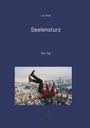 Lutz Meier: Seelensturz, Buch