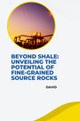 David: Beyond Shale: Unveiling the Potential of Fine-Grained Source Rocks, Buch