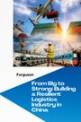 Furguson: From Big to Strong: Building a Resilient Logistics Industry in China, Buch