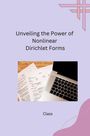 Class: Unveiling the Power of Nonlinear Dirichlet Forms, Buch