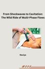 Naviya: From Shockwaves to Cavitation: The Wild Ride of Multi-Phase Flows, Buch