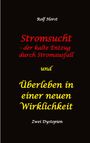 Rolf Horst: Stromsucht - der kalte Entzug durch Stromausfall und Überleben in einer neuen Wirklichkeit: Weltweite Flutkatastrophe, Klimawandel, Meteoriteneinschlag, Permakultur, Autismus, versunkene Städte, Buch