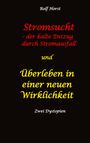 Rolf Horst: Stromsucht - der kalte Entzug durch Stromausfall und Überleben in einer neuen Wirklichkeit: Weltweite Flutkatastrophe, Klimawandel, Meteoriteneinschlag, Permakultur, Autismus, versunkene Städte, Buch