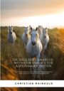 Christian Rainauld: Die Seele der Camargue: Wo Natur und Kultur aufeinandertreffen, Buch