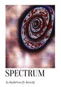 RioDeVero Rerich: Spectrum, Buch