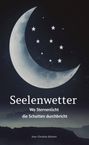 Ann-Christin Rickers: Seelenwetter, Buch