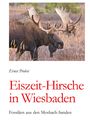 Ernst Probst: Eiszeit-Hirsche in Wiesbaden, Buch