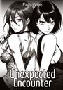 Emily White: Unexpected Encounter, Buch