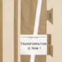 Petra Schmiedecke: Transformation is Now!, Buch