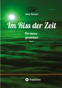 Eileen Teuchert: Im Riss der Zeit, Buch