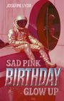 Josefine Lyda: Sad Pink Birthday Glow Up, Buch