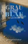 Irmtraud Farrenkopf: Grau trifft Blau, Buch