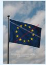 Dave Red: Globale Ordnung im Wandel -, Buch