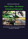 Texte: "Little Critters - Die kleinen Ambystoma-Salamander". Fotos von Salamandern in natürlicher Umgebung und auf einer Hand.