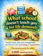 Dominik Mikulaschek: What school doesn't teach you - but life demands, Buch
