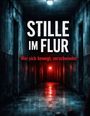 Dominik Mikulaschek: Stille im Flur, Buch