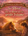 "Das Pferd, das zu klein war für große Träume". Illustration: Mädchen streichelt Pony, Hintergrund Sonnenaufgang und Stall.