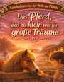 „Das Pferd, das zu klein war für große Träume“, Illustration eines Mädchens mit Pony bei Sonnenuntergang.