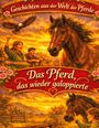 Text: "Geschichten aus der Welt der Pferde" - "Das Pferd, das wieder galoppierte." Illustration mit Pferden und Kindern.