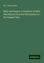 Rev. James Green: Bible and Popery or Incidents of Bible Distribution from the Reformation to the Present Time, Buch