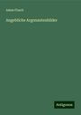 Adam Flasch: Angebliche Argonautenbilder, Buch