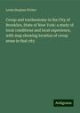 Lewis Stephen Pilcher: Croup and tracheotomy in the City of Brooklyn, State of New York: a study of local conditions and local experience, with map showing location of croup areas in that city, Buch