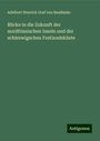 Adelbert Henrich Graf von Baudissin: Blicke in die Zukunft der nordfriesischen Inseln und der schleswigschen Festlandsküste, Buch