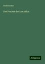 Rudolf Sohm: Der Process der Lex salica, Buch