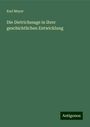 Karl Meyer: Die Dietrichssage in ihrer geschichtlichen Entwicklung, Buch