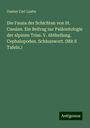 Gustav Carl Laube: Die Fauna der Schichten von St. Cassian. Ein Beitrag zur Paläontologie der alpinen Trias. V. Abtheilung. Cephalopoden. Schlusswort. (Mit 8 Tafeln.), Buch