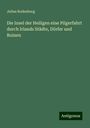 Julius Rodenberg: Die Insel der Heiligen eine Pilgerfahrt durch Irlands Städte, Dörfer und Ruinen, Buch