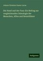 Johann Christian Gustav Lucae: Die Hand und der Fuss: Ein Beitrag zur vergleichenden Osteologie der Menschen, Affen und Beutelthiere, Buch